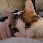 Dotty Johnson - Facebook