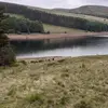 dottyjohnson815 - @dottyjohnson815 - TikTok