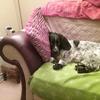 Dotty_Miller - @queendotty23 - TikTok