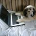 Dotty Nelson - Facebook