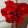 douachang6 - @douachang6 - TikTok