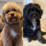 @doudou_bam - Instagram