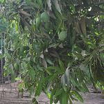 Dou Dou Camara - @doudou.camara.391 - Instagram