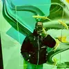 Doudou Kane - @leboundoye150 - TikTok
