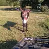 dougabernathy6 - @dougabernathy6 - TikTok