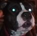 Doug Acree - Facebook