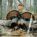 Doug Adkins - Facebook
