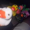 user2919395779416 - @doug..alt - TikTok