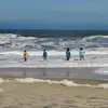 Sarah Amend-Dougherty - @sarah.amenddoughe - TikTok