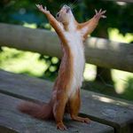 @dougarrington - Instagram
