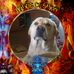 Douglas Arrington - Facebook