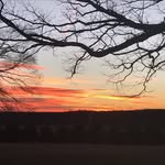 Doug Arthur - @notdeadyet5 - Instagram