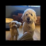 Doug Atkins - @dougatkins7 - Instagram