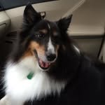 Doug Atkins - @atkinsdoug - Instagram