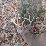 Doug Atkins - @dougatkins60 - Instagram