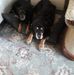 Doug Atkins - Facebook