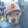 Doug - @doug_atkins - TikTok
