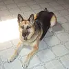 dougatkins0 - @dougatkins0 - TikTok