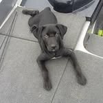 Doug Austin - @dcaustin85 - Instagram