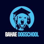 Bahae Dogschool - @bahaedogschool - Instagram