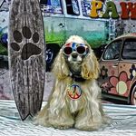 Doug Baer - @dbsigns03 - Instagram