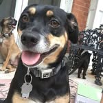 Doug Bales - @bandito798 - Instagram