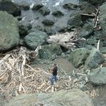 Doug Ballou - @doug.ballou - Instagram