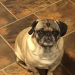 Doug Barth - @doug.barth.9883 - Instagram