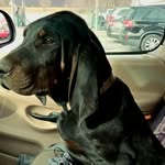 Doug Baugh - @baugh.doug - Instagram