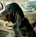 Doug Baugh - Facebook