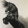Douglas Baughman - @douglasbaughman808 - TikTok