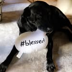 Doug Beardsley - @takapoob894 - Instagram