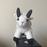 Doug Beasley - @dougbeasley76 - Instagram