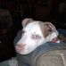 Douglas Beasley - Facebook