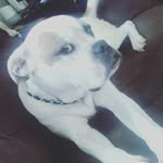 Douglas - @doug.beatty15 - Instagram