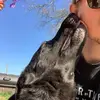 Douglas Belcher - @douglasbelcher0 - TikTok