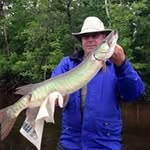 Doug Blyth - @bassblyth - Instagram
