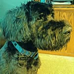Doug Bock - @doug.bock.52 - Instagram