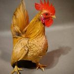 Doug Bolt - @dougbolt - Instagram