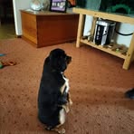 Doug Booth - Facebook