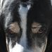 Douglas Boswell - Facebook