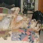 Doug Bourassa - @bourassadoug - Instagram