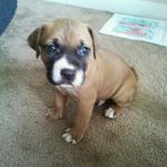 Doug Bowers - @ddb111_ - Instagram