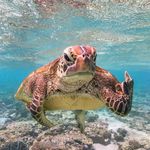 Doug Bowers - @kndeeze1 - Instagram