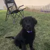 dougboyer540 - @dougboyer540 - TikTok