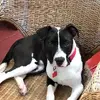 @dougbreese3 - @pcpshooting - TikTok