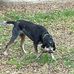 Doug Brenner - Facebook