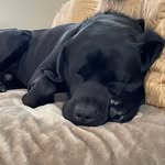 Doug Brickell - @dougbrickell - Instagram