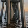 Doug Bridges - @dougbridges3 - TikTok
