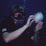 Doug Brink - @dougbrink1111 - Instagram